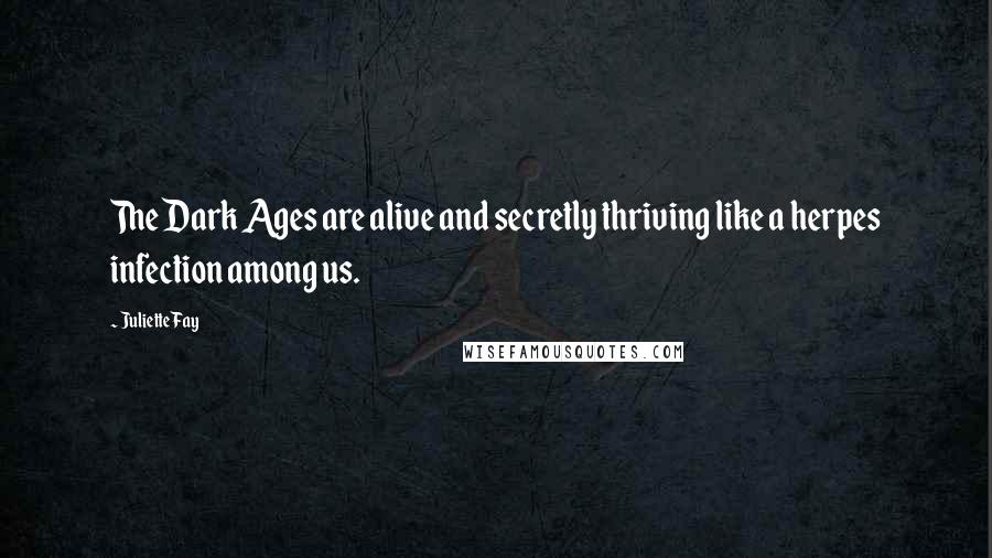 Juliette Fay Quotes: The Dark Ages are alive and secretly thriving like a herpes infection among us.