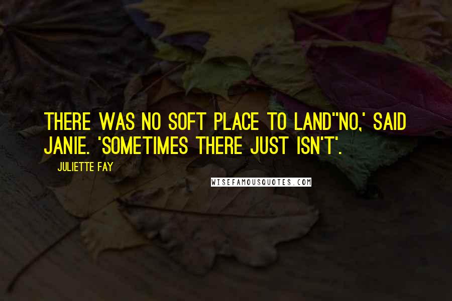 Juliette Fay Quotes: There was no soft place to land''No,' said Janie. 'Sometimes there just isn't'.