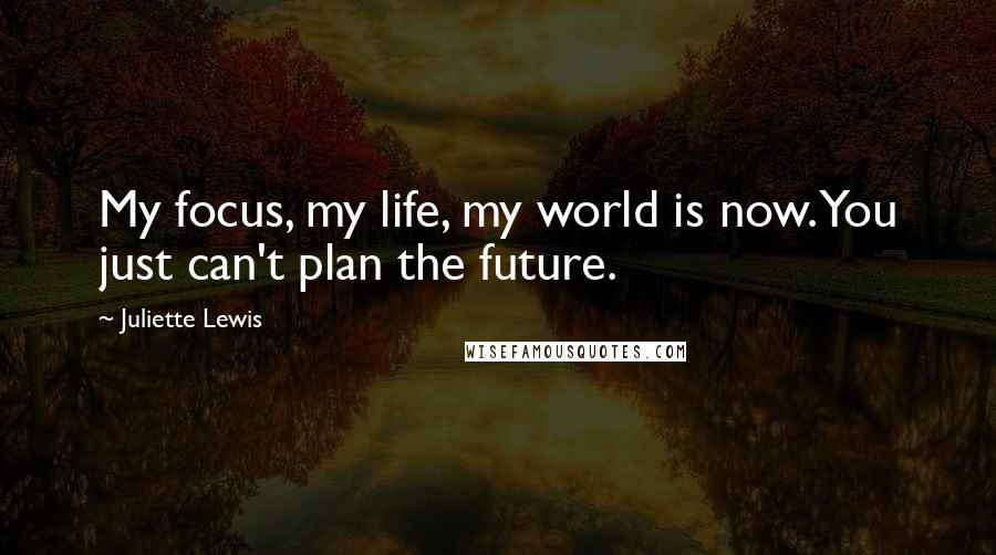 Juliette Lewis Quotes: My focus, my life, my world is now. You just can't plan the future.