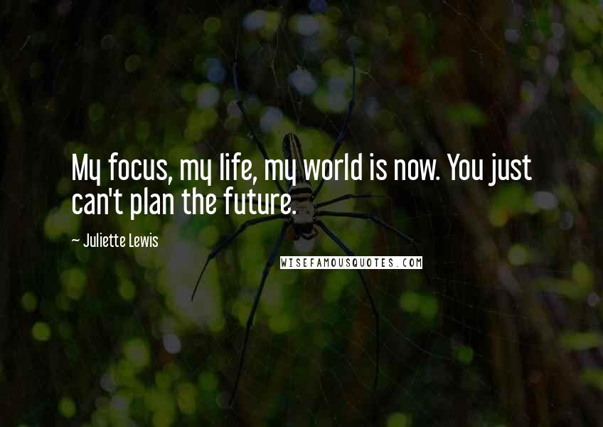 Juliette Lewis Quotes: My focus, my life, my world is now. You just can't plan the future.