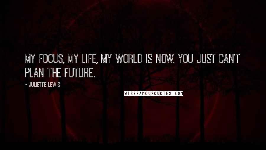 Juliette Lewis Quotes: My focus, my life, my world is now. You just can't plan the future.