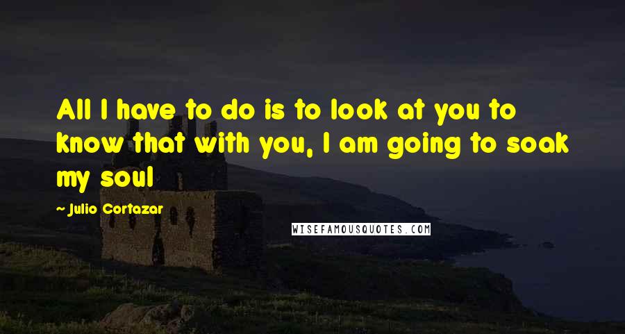 Julio Cortazar Quotes: All I have to do is to look at you to know that with you, I am going to soak my soul