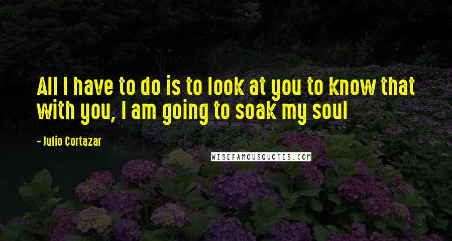 Julio Cortazar Quotes: All I have to do is to look at you to know that with you, I am going to soak my soul