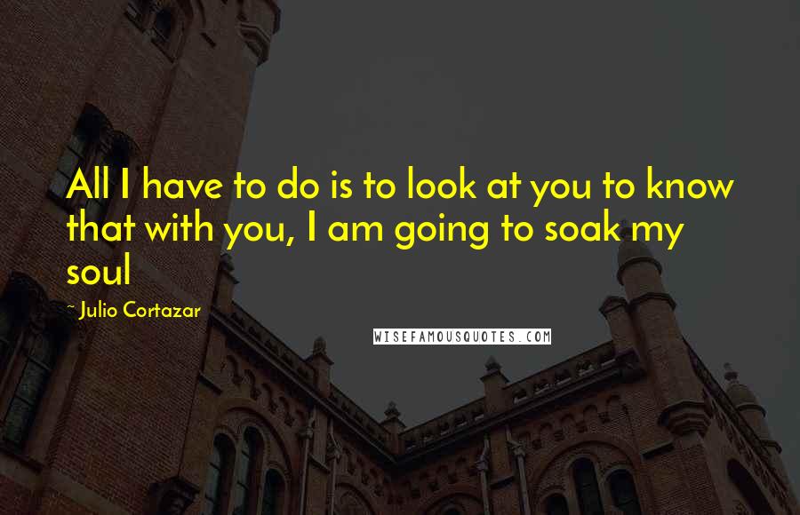 Julio Cortazar Quotes: All I have to do is to look at you to know that with you, I am going to soak my soul