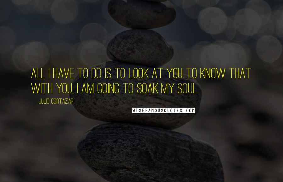 Julio Cortazar Quotes: All I have to do is to look at you to know that with you, I am going to soak my soul