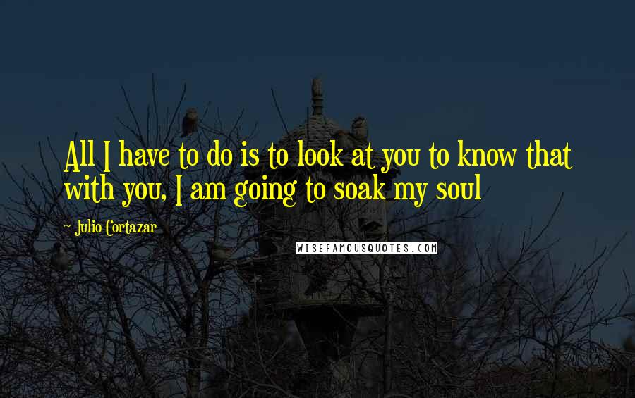 Julio Cortazar Quotes: All I have to do is to look at you to know that with you, I am going to soak my soul