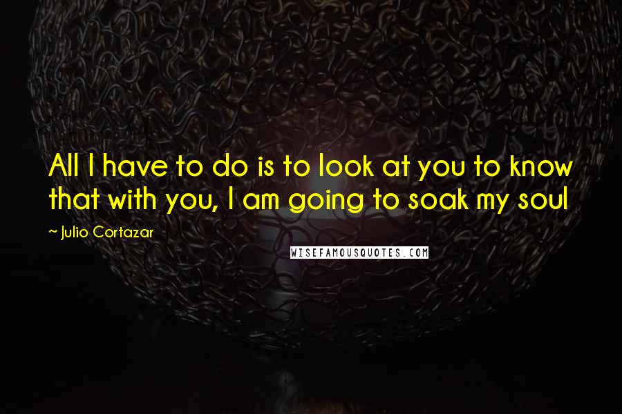 Julio Cortazar Quotes: All I have to do is to look at you to know that with you, I am going to soak my soul