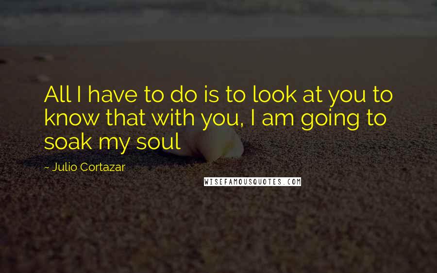 Julio Cortazar Quotes: All I have to do is to look at you to know that with you, I am going to soak my soul