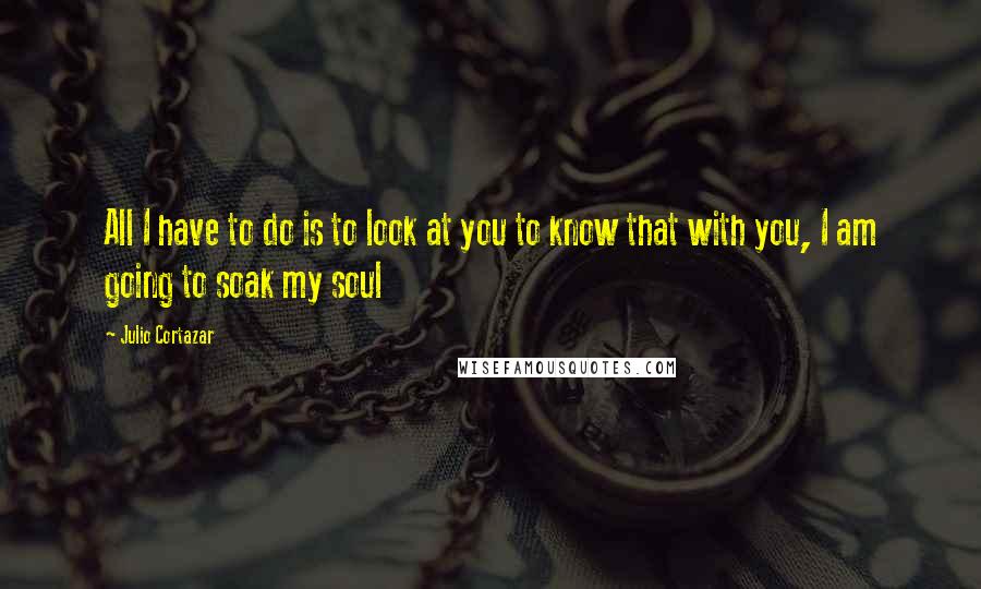 Julio Cortazar Quotes: All I have to do is to look at you to know that with you, I am going to soak my soul