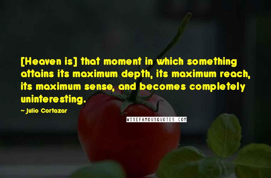 Julio Cortazar Quotes: [Heaven is] that moment in which something attains its maximum depth, its maximum reach, its maximum sense, and becomes completely uninteresting.