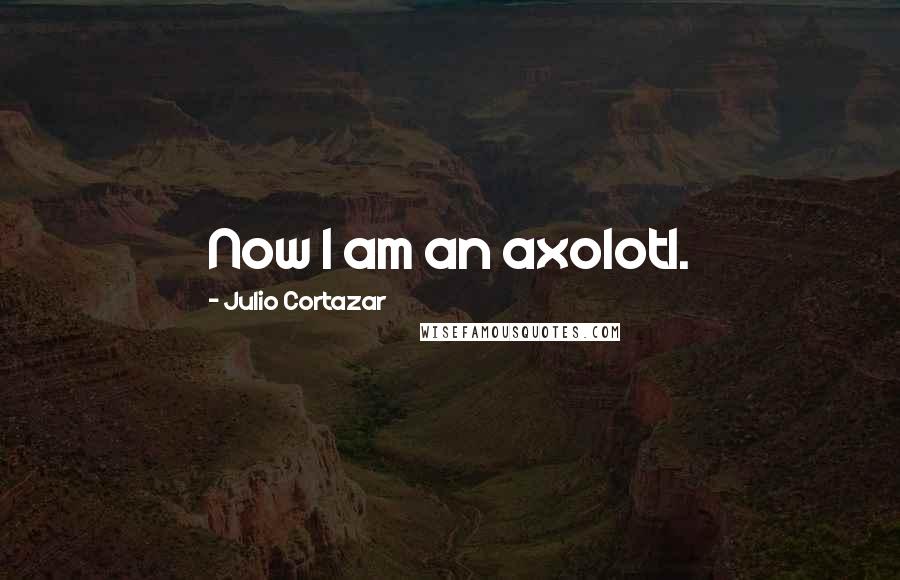 Julio Cortazar Quotes: Now I am an axolotl.