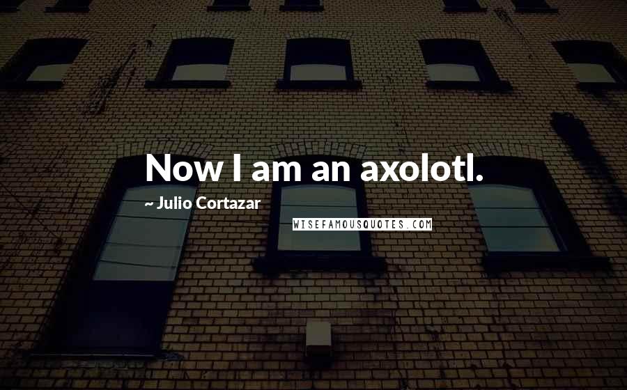 Julio Cortazar Quotes: Now I am an axolotl.