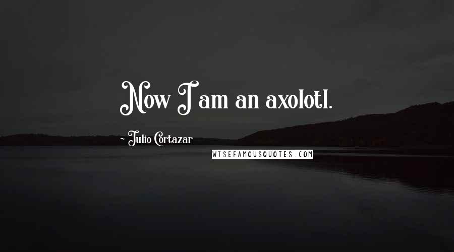 Julio Cortazar Quotes: Now I am an axolotl.