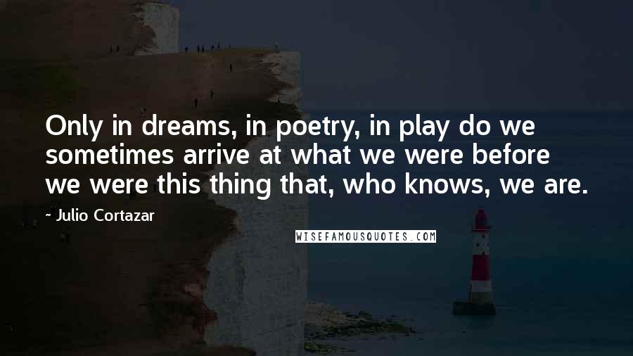 Julio Cortazar Quotes: Only in dreams, in poetry, in play do we sometimes arrive at what we were before we were this thing that, who knows, we are.