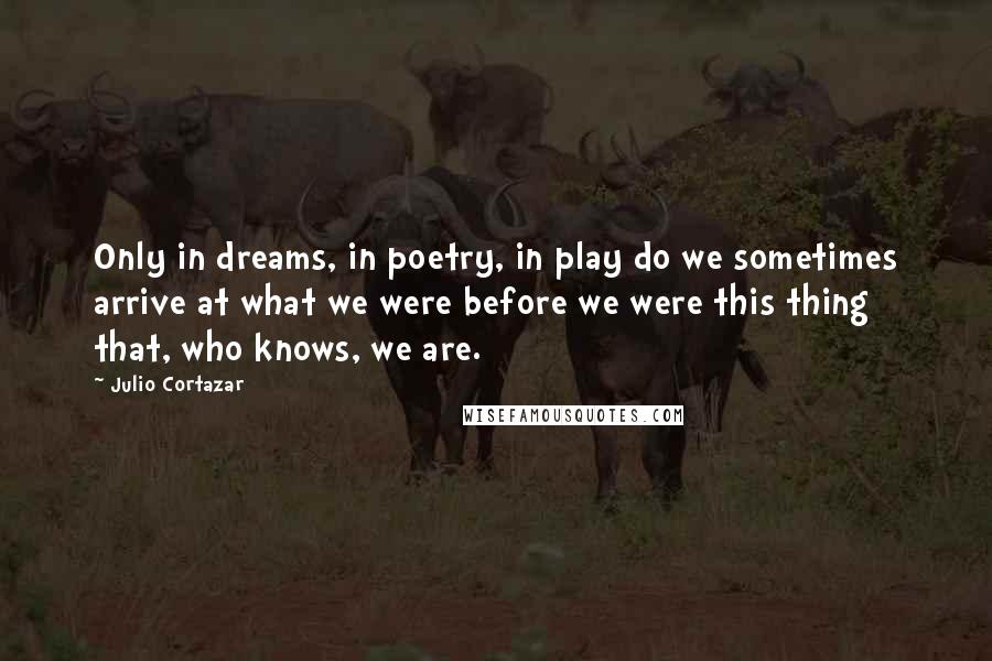 Julio Cortazar Quotes: Only in dreams, in poetry, in play do we sometimes arrive at what we were before we were this thing that, who knows, we are.