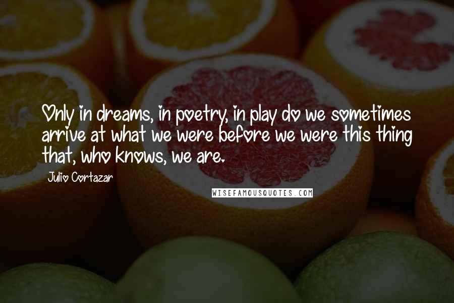 Julio Cortazar Quotes: Only in dreams, in poetry, in play do we sometimes arrive at what we were before we were this thing that, who knows, we are.