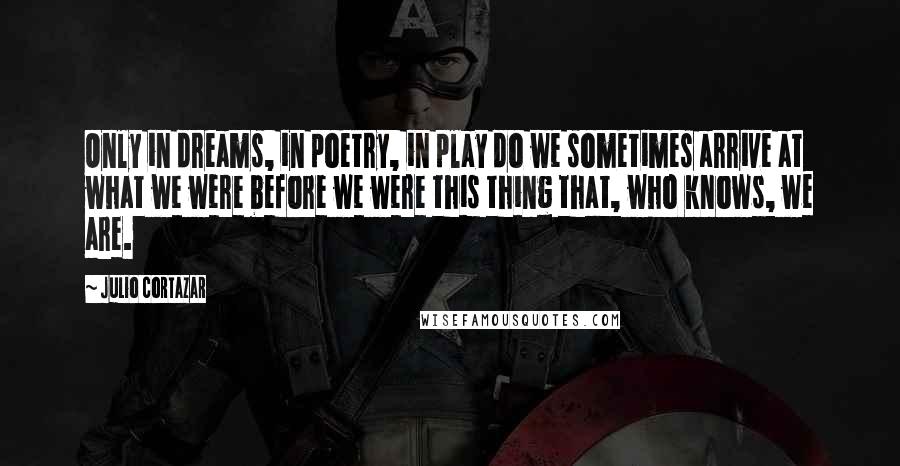 Julio Cortazar Quotes: Only in dreams, in poetry, in play do we sometimes arrive at what we were before we were this thing that, who knows, we are.