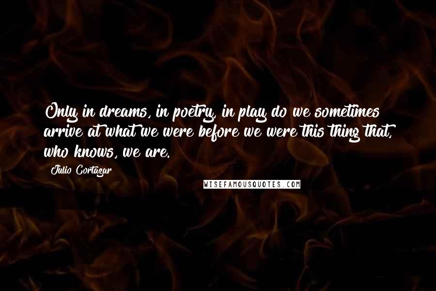 Julio Cortazar Quotes: Only in dreams, in poetry, in play do we sometimes arrive at what we were before we were this thing that, who knows, we are.