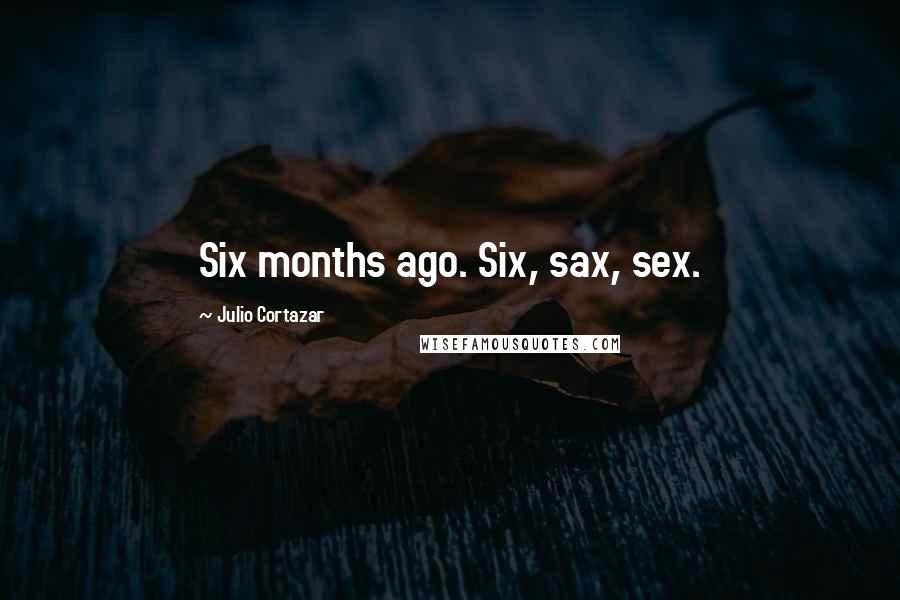 Julio Cortazar Quotes: Six months ago. Six, sax, sex.