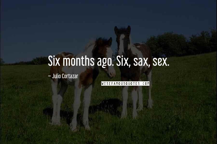 Julio Cortazar Quotes: Six months ago. Six, sax, sex.