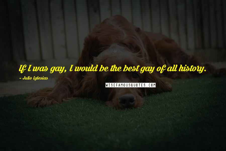 Julio Iglesias Quotes: If I was gay, I would be the best gay of all history.