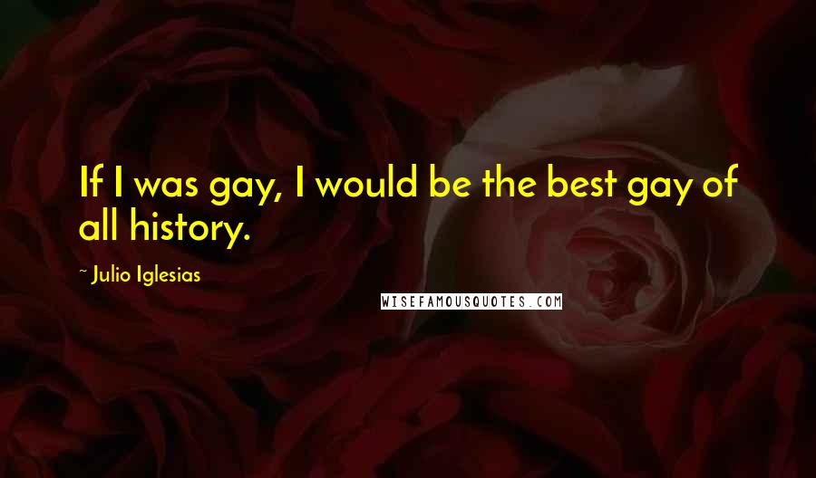 Julio Iglesias Quotes: If I was gay, I would be the best gay of all history.