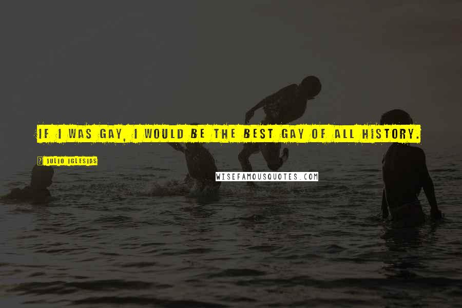 Julio Iglesias Quotes: If I was gay, I would be the best gay of all history.