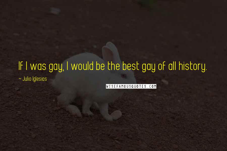 Julio Iglesias Quotes: If I was gay, I would be the best gay of all history.