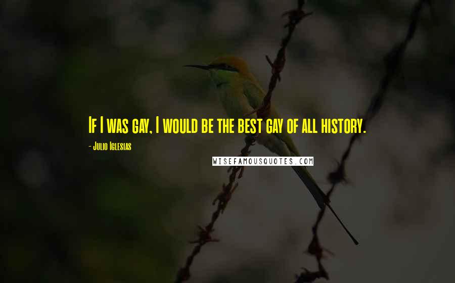 Julio Iglesias Quotes: If I was gay, I would be the best gay of all history.