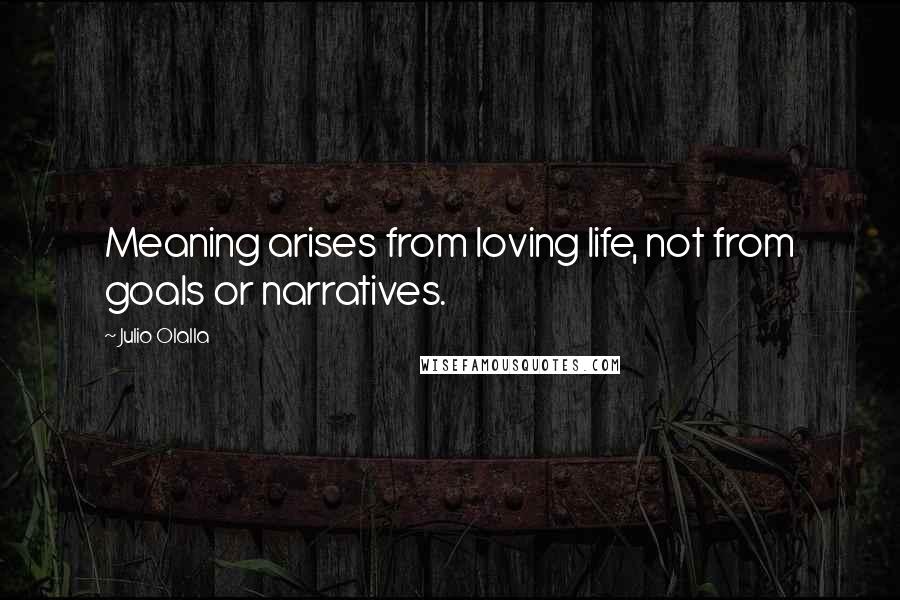Julio Olalla Quotes: Meaning arises from loving life, not from goals or narratives.