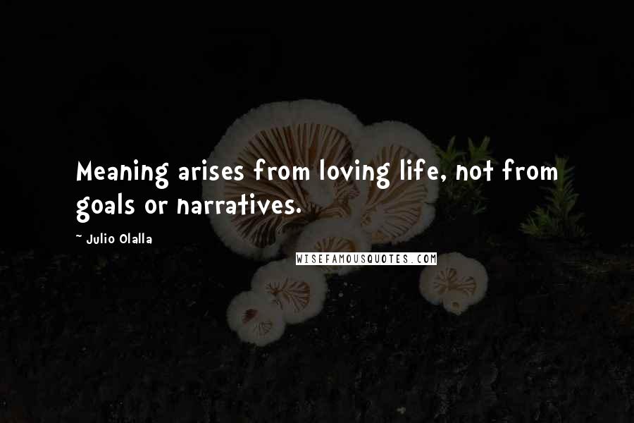 Julio Olalla Quotes: Meaning arises from loving life, not from goals or narratives.