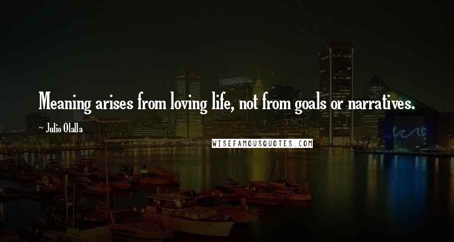 Julio Olalla Quotes: Meaning arises from loving life, not from goals or narratives.