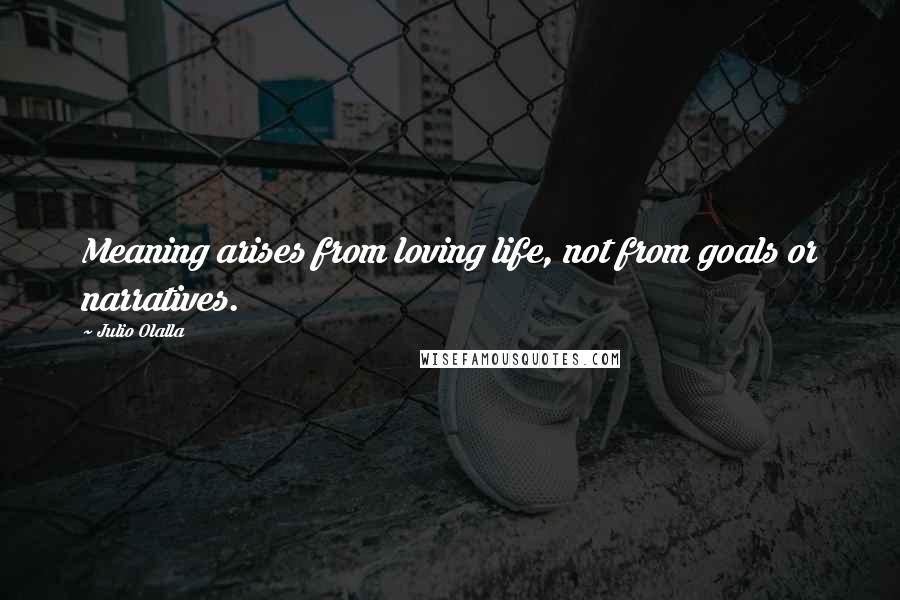 Julio Olalla Quotes: Meaning arises from loving life, not from goals or narratives.