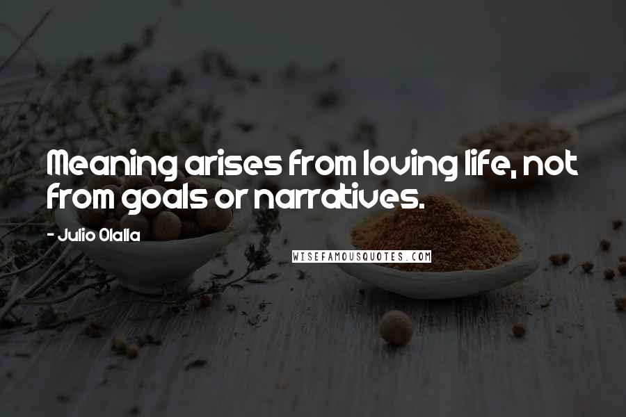 Julio Olalla Quotes: Meaning arises from loving life, not from goals or narratives.