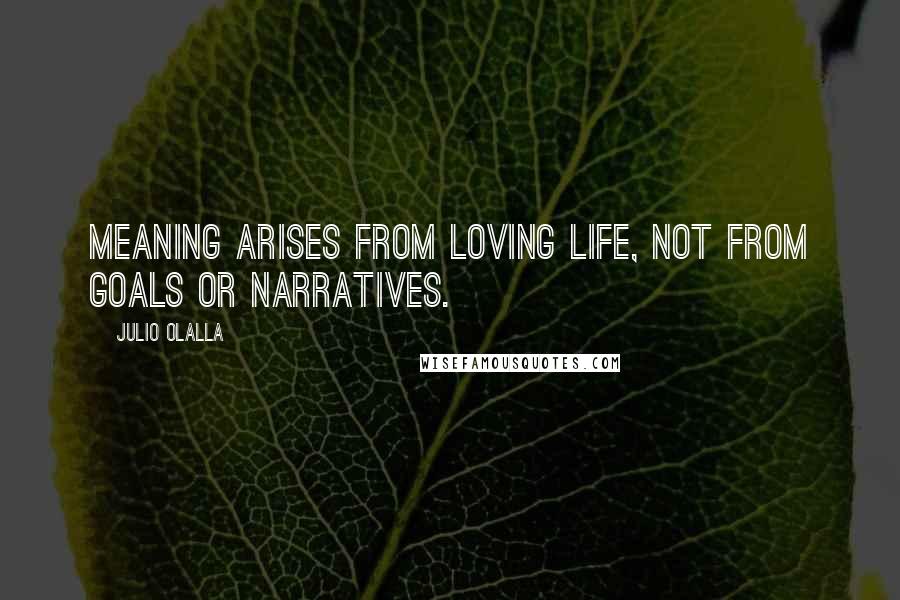 Julio Olalla Quotes: Meaning arises from loving life, not from goals or narratives.