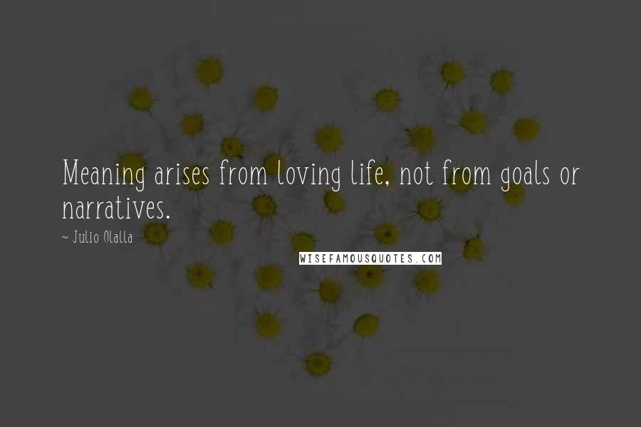 Julio Olalla Quotes: Meaning arises from loving life, not from goals or narratives.
