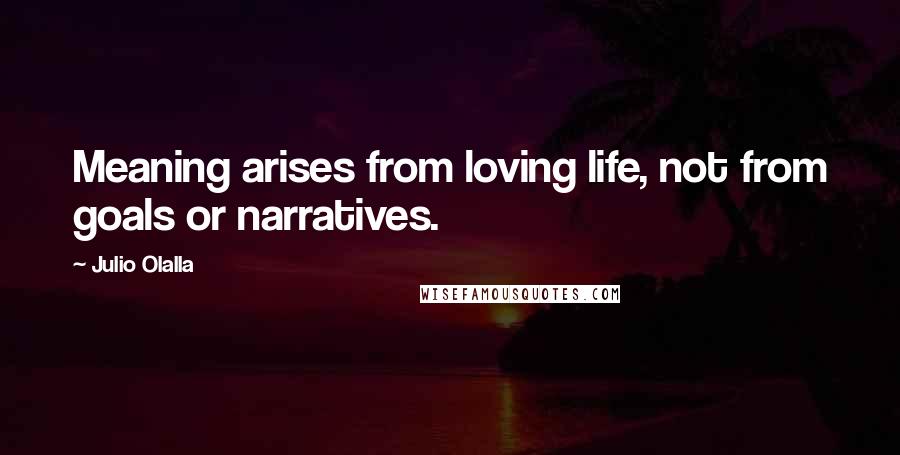 Julio Olalla Quotes: Meaning arises from loving life, not from goals or narratives.