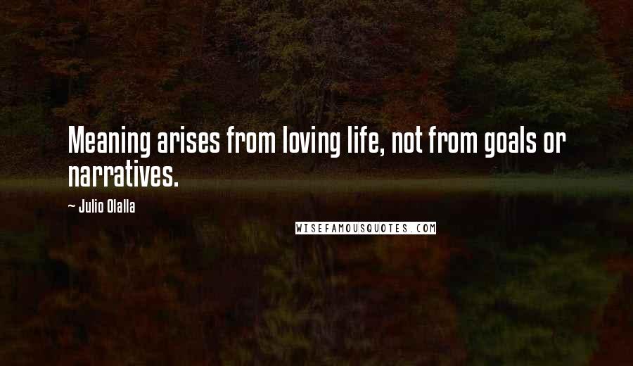 Julio Olalla Quotes: Meaning arises from loving life, not from goals or narratives.