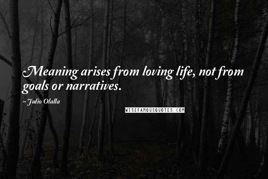 Julio Olalla Quotes: Meaning arises from loving life, not from goals or narratives.