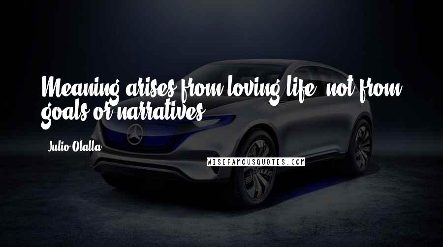 Julio Olalla Quotes: Meaning arises from loving life, not from goals or narratives.