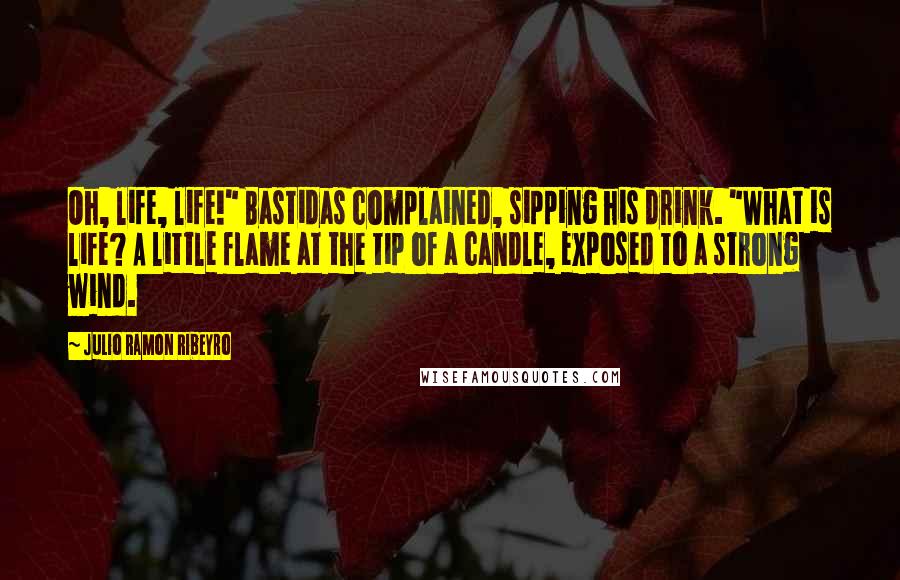 Julio Ramon Ribeyro Quotes: Oh, life, life!" Bastidas complained, sipping his drink. "What is life? A little flame at the tip of a candle, exposed to a strong wind.