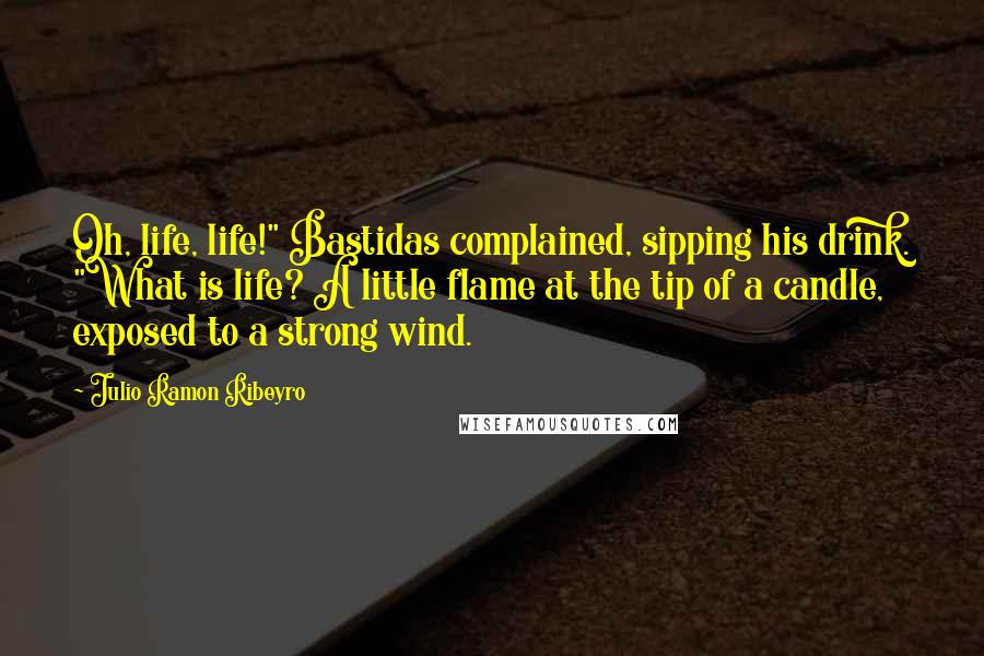 Julio Ramon Ribeyro Quotes: Oh, life, life!" Bastidas complained, sipping his drink. "What is life? A little flame at the tip of a candle, exposed to a strong wind.
