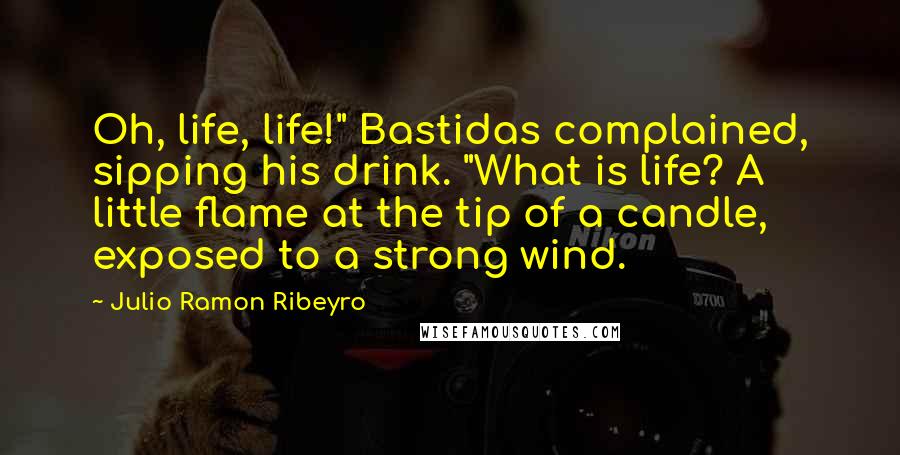 Julio Ramon Ribeyro Quotes: Oh, life, life!" Bastidas complained, sipping his drink. "What is life? A little flame at the tip of a candle, exposed to a strong wind.