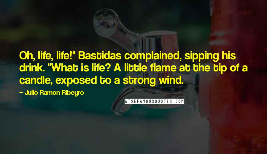 Julio Ramon Ribeyro Quotes: Oh, life, life!" Bastidas complained, sipping his drink. "What is life? A little flame at the tip of a candle, exposed to a strong wind.