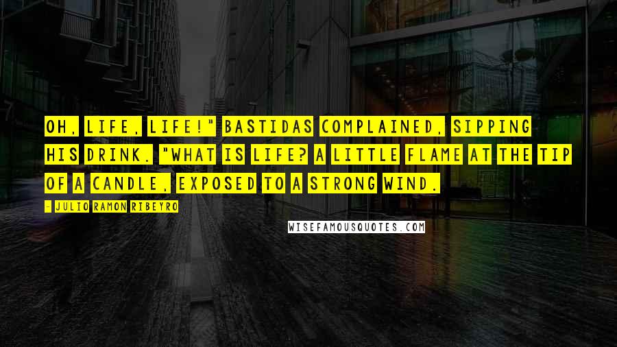 Julio Ramon Ribeyro Quotes: Oh, life, life!" Bastidas complained, sipping his drink. "What is life? A little flame at the tip of a candle, exposed to a strong wind.