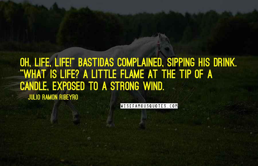 Julio Ramon Ribeyro Quotes: Oh, life, life!" Bastidas complained, sipping his drink. "What is life? A little flame at the tip of a candle, exposed to a strong wind.