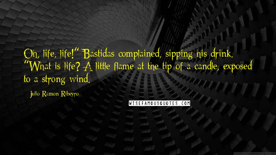 Julio Ramon Ribeyro Quotes: Oh, life, life!" Bastidas complained, sipping his drink. "What is life? A little flame at the tip of a candle, exposed to a strong wind.