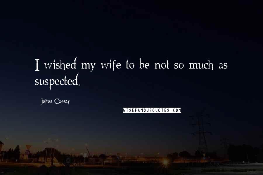 Julius Caesar Quotes: I wished my wife to be not so much as suspected.