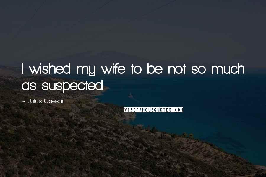 Julius Caesar Quotes: I wished my wife to be not so much as suspected.