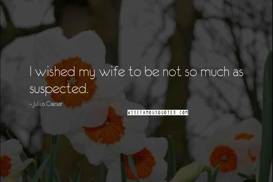 Julius Caesar Quotes: I wished my wife to be not so much as suspected.